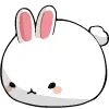 🐰