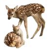 🦌