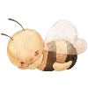 🐝