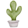 🌵