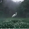 🐇