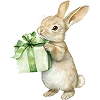 🎁