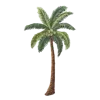 🌴