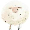 🐑