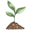 🌱