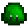 🌱