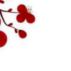 🌸