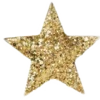 ✨