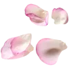 🌸