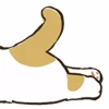 🐱