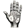 ✋