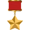 🎖