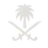 🇸🇦