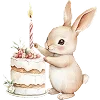 🐇