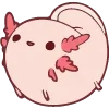 🐽