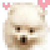 🐶