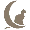 🌙