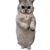 🕺