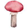 🍄
