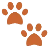 🐾
