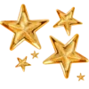 🌟
