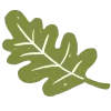 🌱