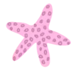 ⭐️
