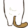 🐱