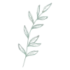 🌿