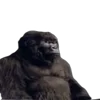 🦍