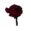 🌹