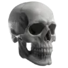 🪱