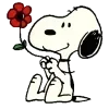🌹