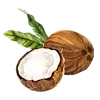 🥥