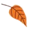 🍂