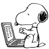 💻