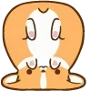 🐶