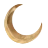 🌙