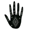 🤚