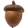🌰