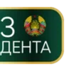 📣