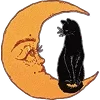 🌙