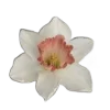 🌸