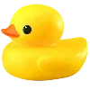 🦆