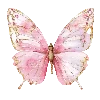 🦋
