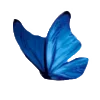 🕊️