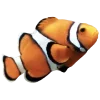 🌊