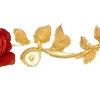🌼