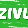 💚