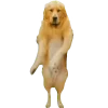 🕺